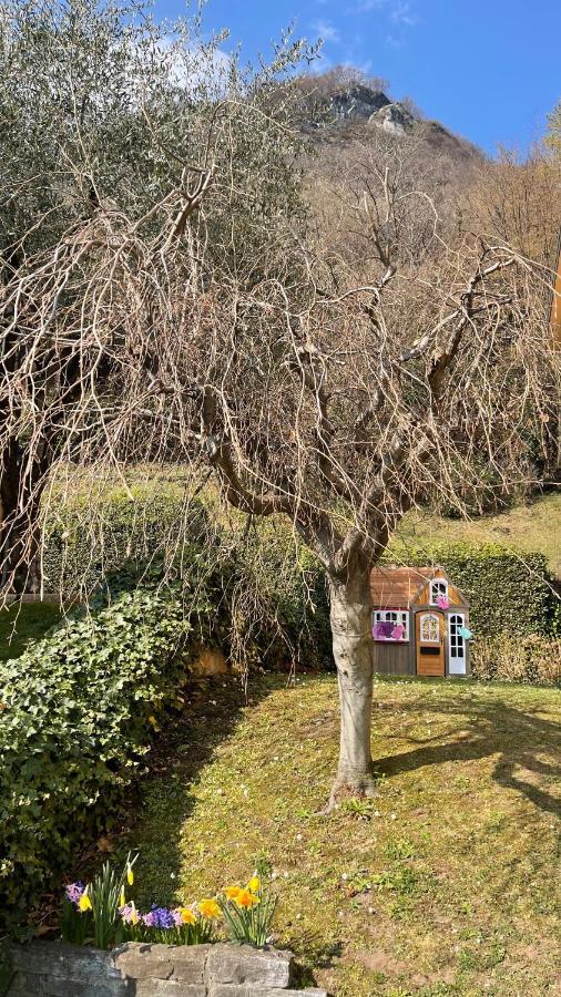 Few Steps To The Heart Of Menaggio, Swimming Pool, Breathtaking View Lejlighed Eksteriør billede
